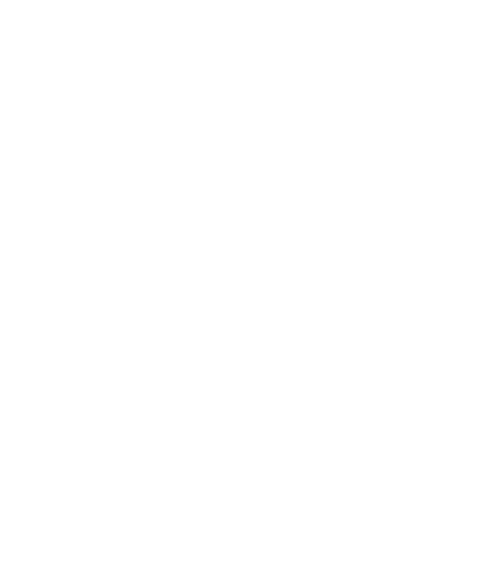2 (1)-1